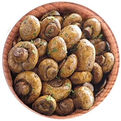 SPICES 13