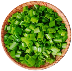 SPICES 16