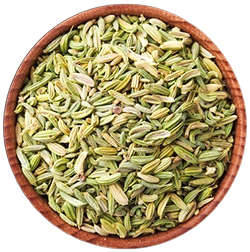 SPICES 5