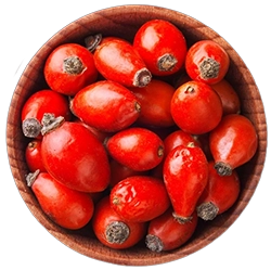 SPICES 8