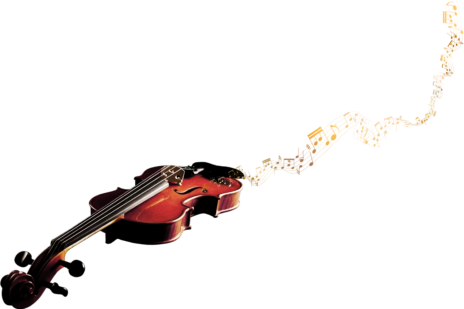 VIOLIN